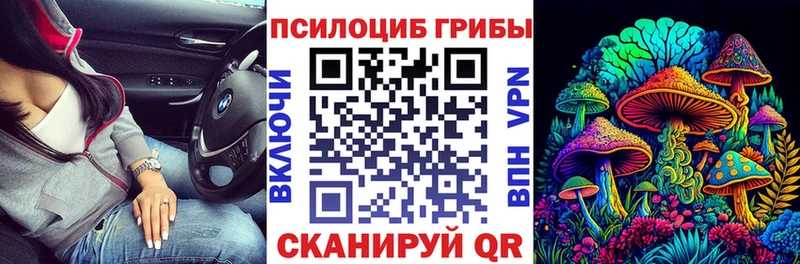 наркошоп  Брянск  Галлюциногенные грибы прущие грибы 