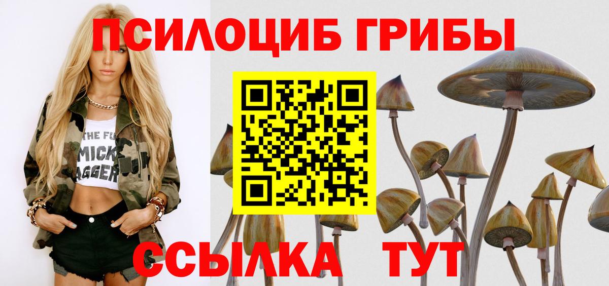Альфа ПВП Брянск