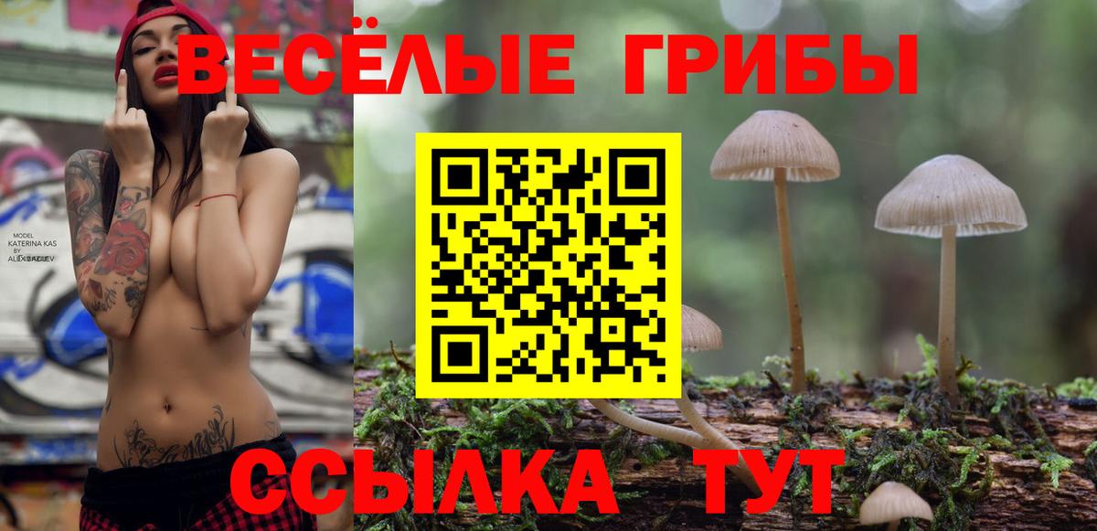 Псилоцибиновые грибы Magic Shrooms Брянск