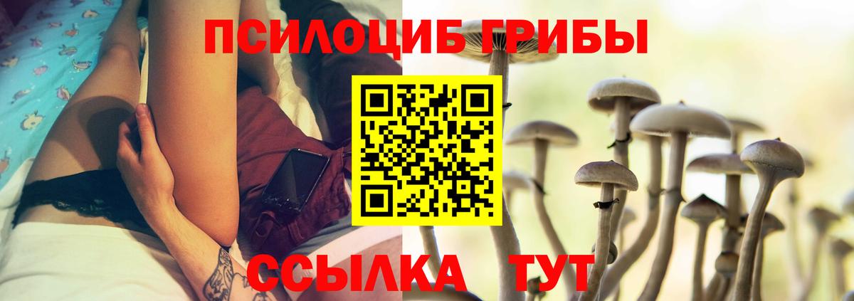 Брянск  Псилоцибиновые грибы Cubensis  Вход с VPN 